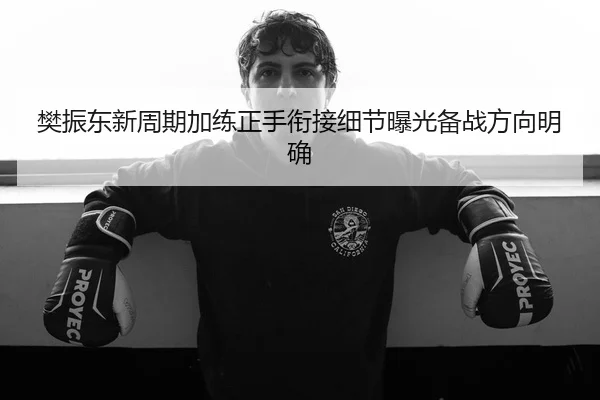 樊振东新周期加练正手衔接细节曝光备战方向明确